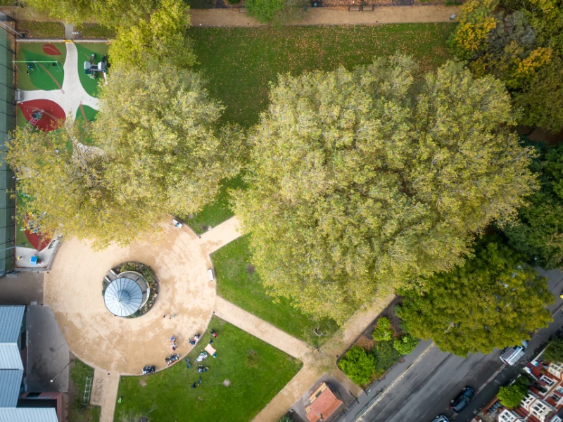 Aerial view of park